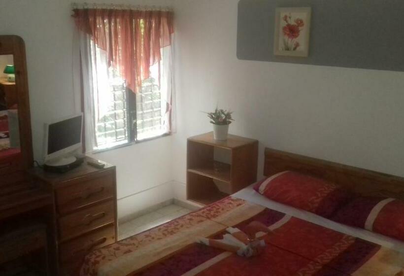 膳宿费 Casa Picadilly