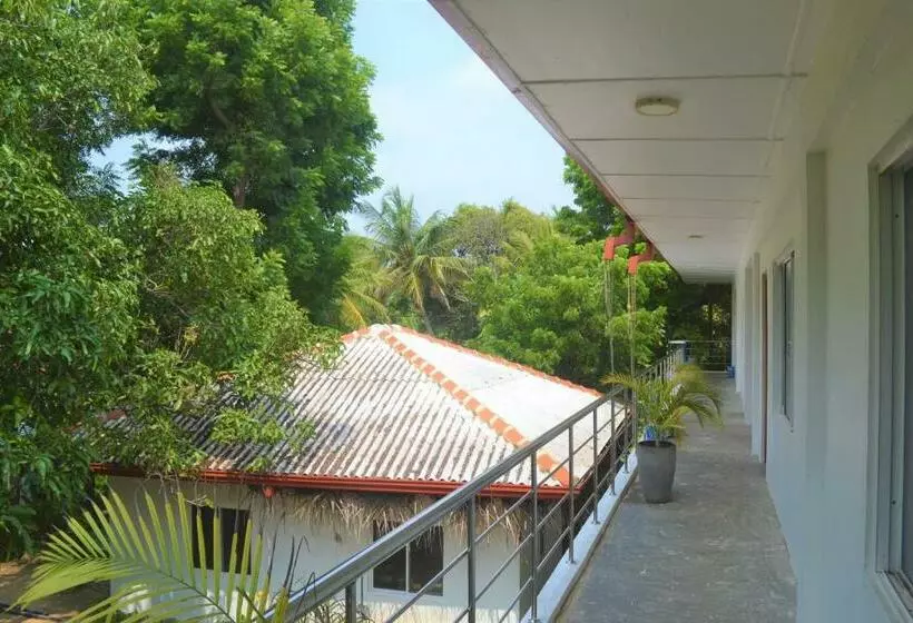 پانسیون D Villa Garden House