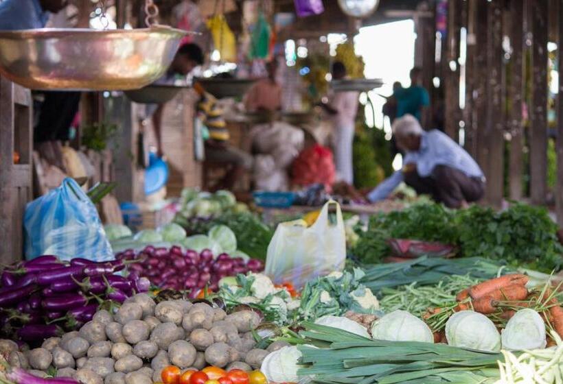 پانسیون D Villa Garden House