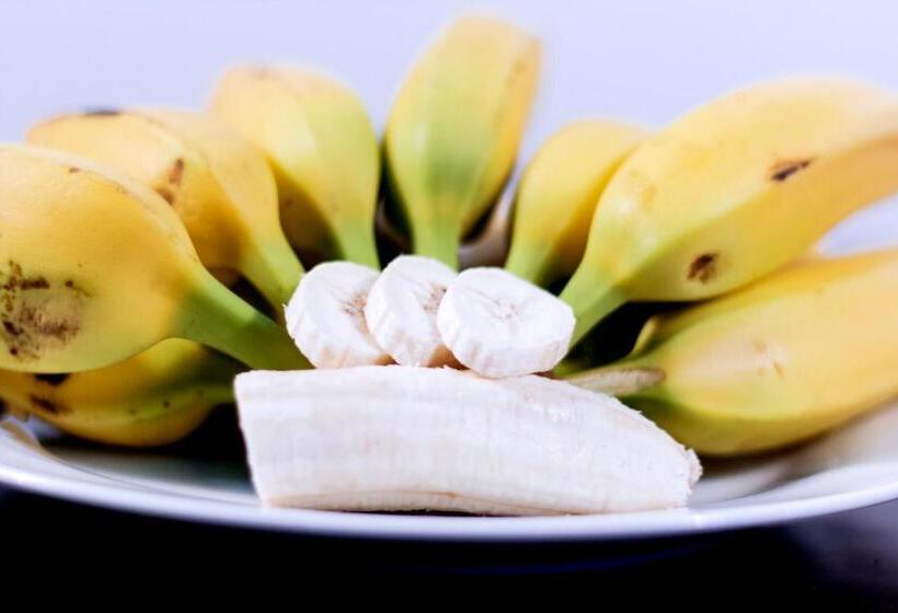 پانسیون D Villa Garden House