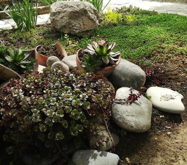 پانسیون Tbilisi Guesthouse Nini