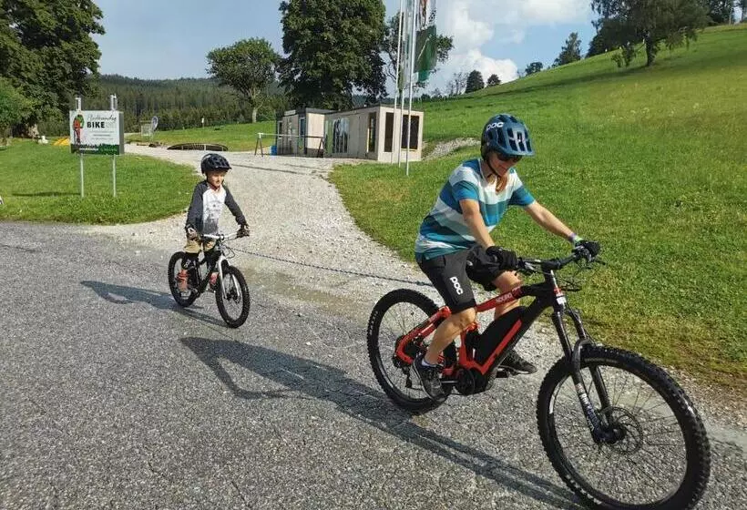 هاستل Gasthof Wiesenhofer