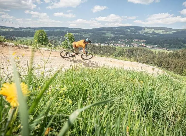 هاستل Gasthof Wiesenhofer