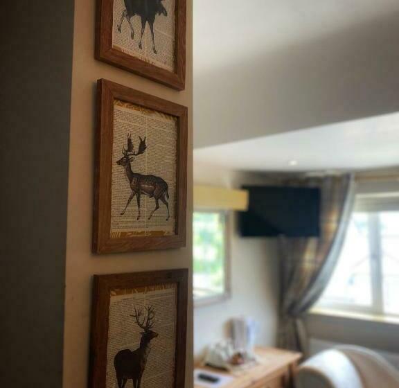 مبيت وإفطار Dulrush Lodge Guest House, Restaurant And Self Catering