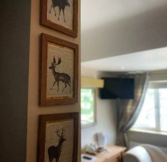 Aamiaismajoitus (B&B) Dulrush Lodge Guest House, Restaurant And Self Catering