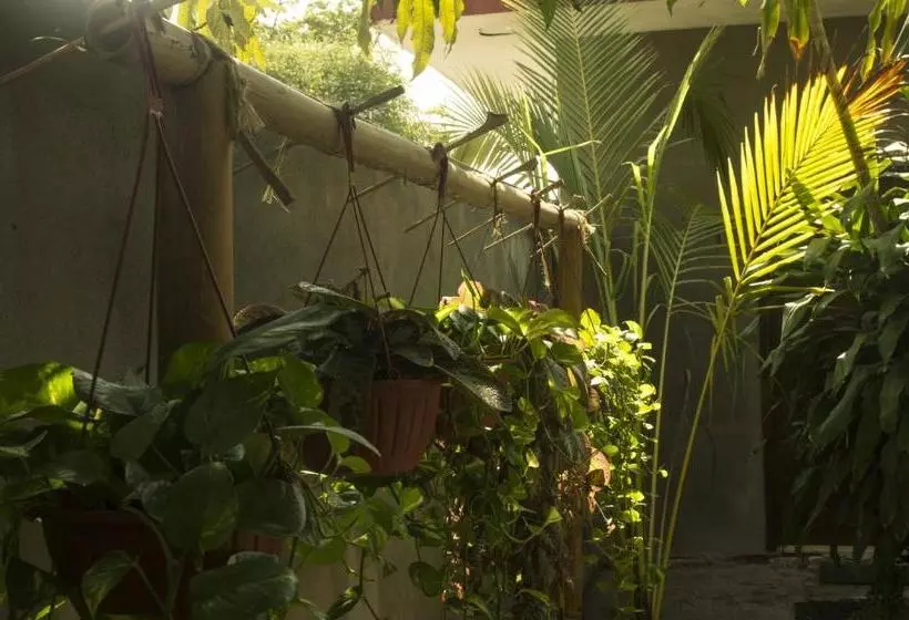 Eco Hotel Casa Kima