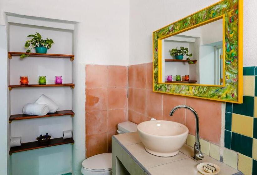 Пансион Casa Del Solar Centro Cozumel Wifi Gratuito Fibra óptica 200 Mbps