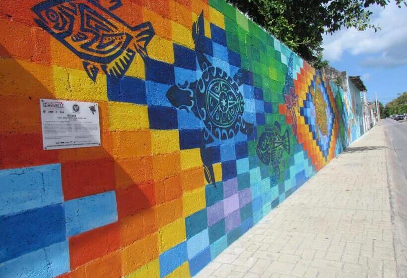 Пансион Casa Del Solar Centro Cozumel Wifi Gratuito Fibra óptica 200 Mbps