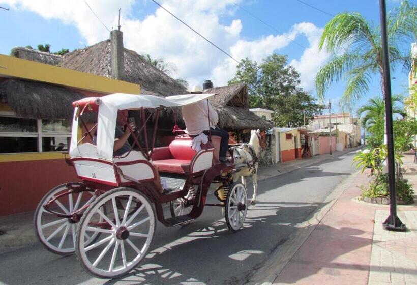 Пансион Casa Del Solar Centro Cozumel Wifi Gratuito Fibra óptica 200 Mbps