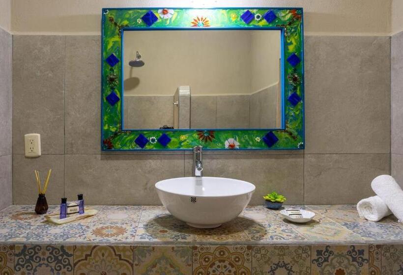 Пансион Casa Del Solar Centro Cozumel Wifi Gratuito Fibra óptica 200 Mbps