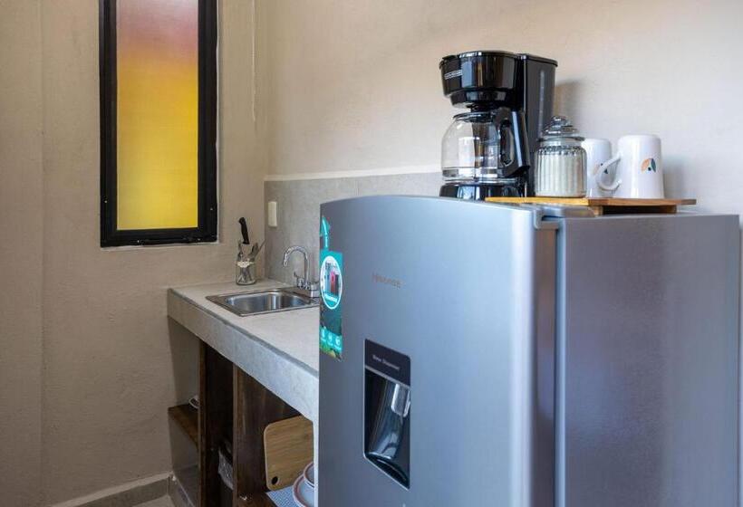 Пансион Casa Del Solar Centro Cozumel Wifi Gratuito Fibra óptica 200 Mbps