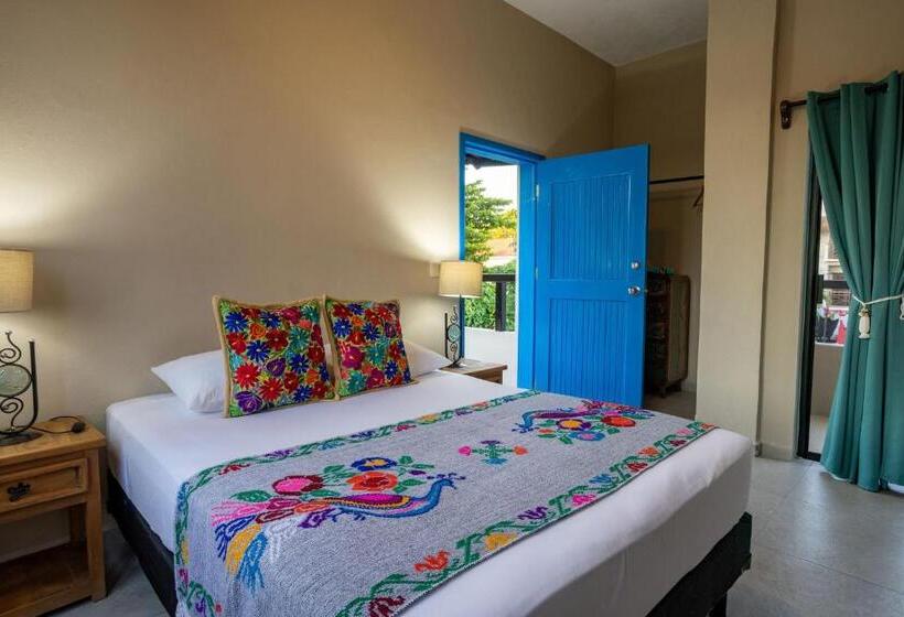 Пансион Casa Del Solar Centro Cozumel Wifi Gratuito Fibra óptica 200 Mbps