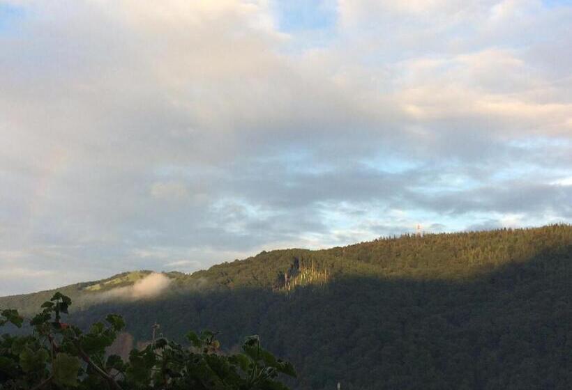 بنسيون Guest House Arnika