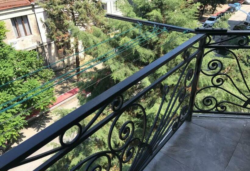 پانسیون Guesthouse Abashidze 4