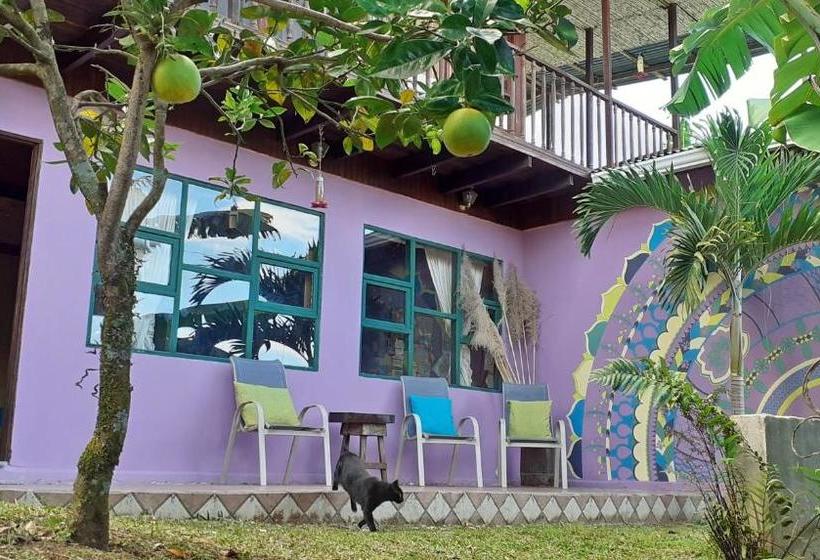 پانسیون Montaña Linda Guest House Orosi