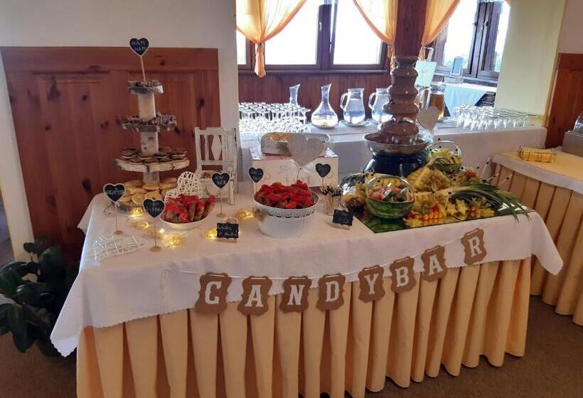 膳宿费 Penzion Vyhlídka Janovičky