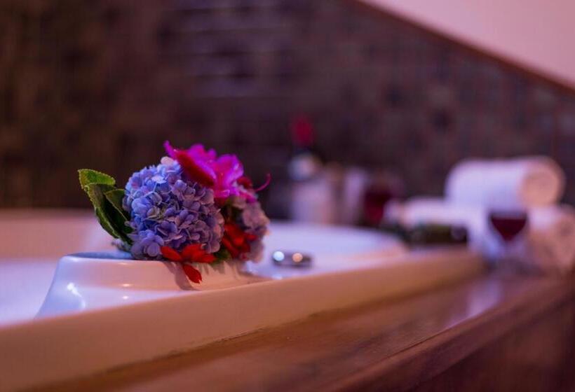 膳宿费 Pousada Chalé Amoreira