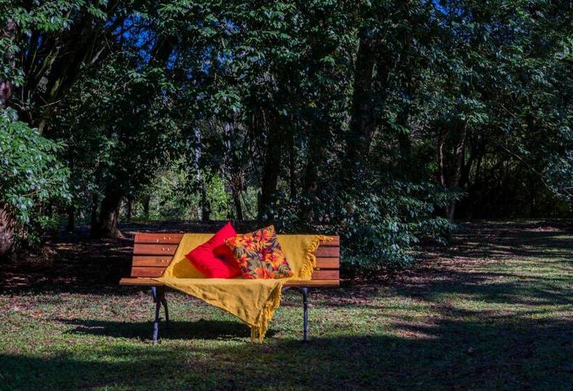 膳宿费 Pousada Chalé Amoreira