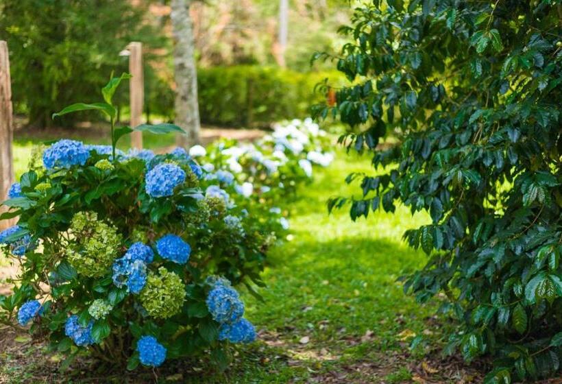 膳宿费 Pousada Chalé Amoreira