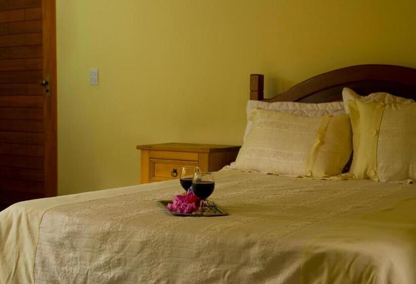 膳宿费 Pousada Chalé Amoreira