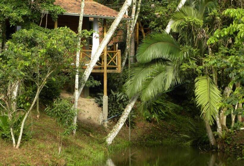 펜션 Pousada Nosso Bosque