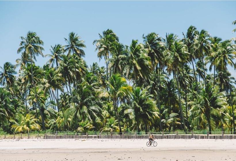 膳宿费 Pousada Paraiso Carneiros