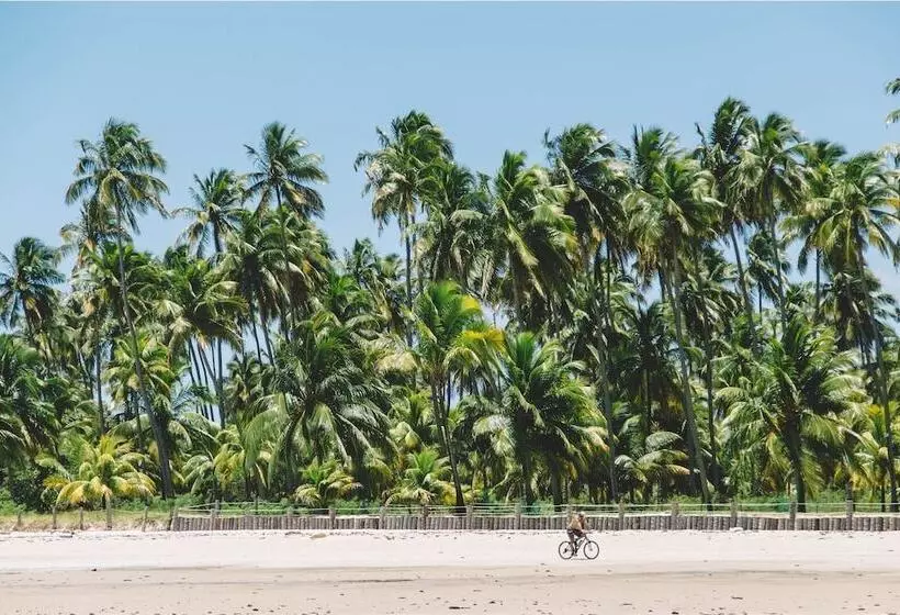 ペンション Pousada Paraiso Carneiros