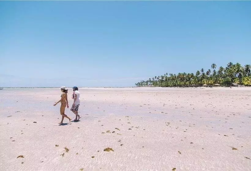 ペンション Pousada Paraiso Carneiros