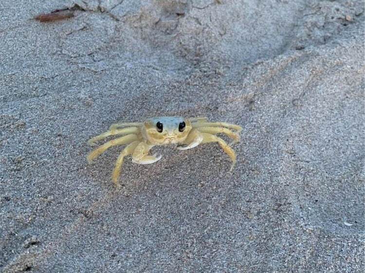 膳宿费 Pousada Paraiso Carneiros