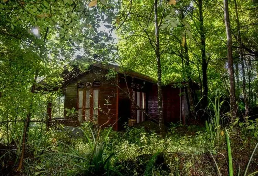 Majatalo Sinharaja Rest