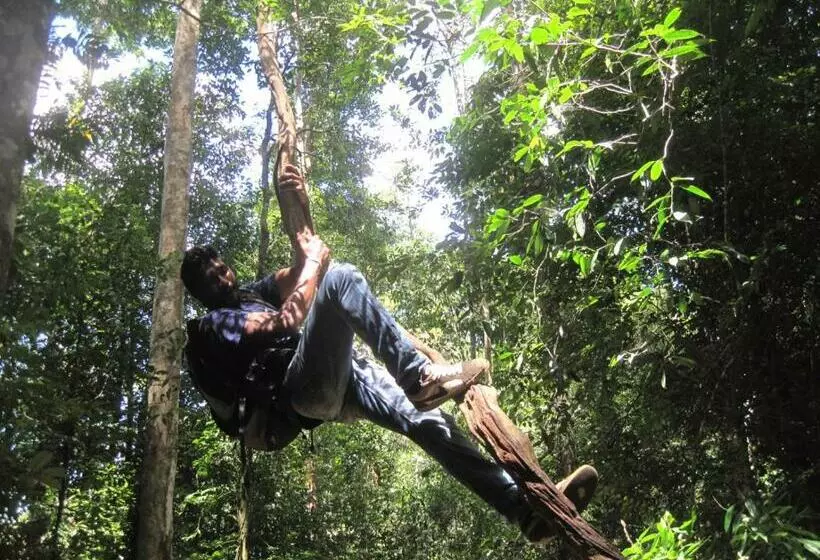 Majatalo Sinharaja Rest