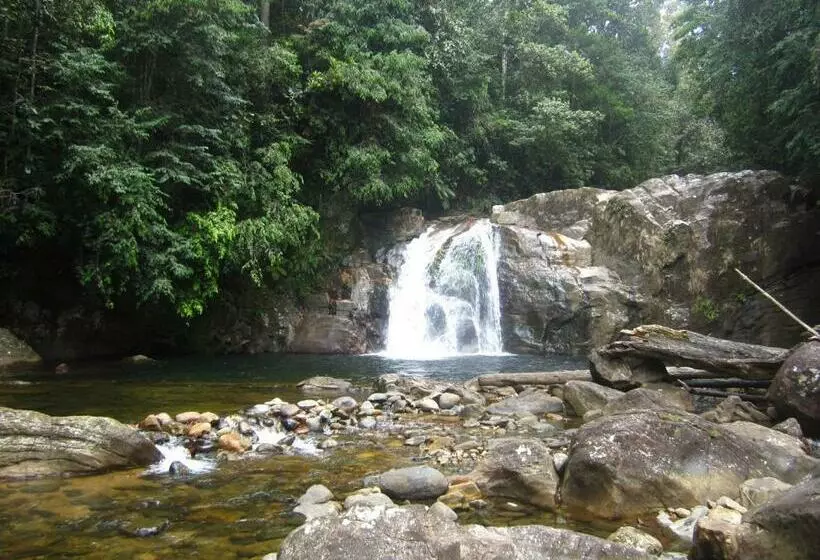 Majatalo Sinharaja Rest
