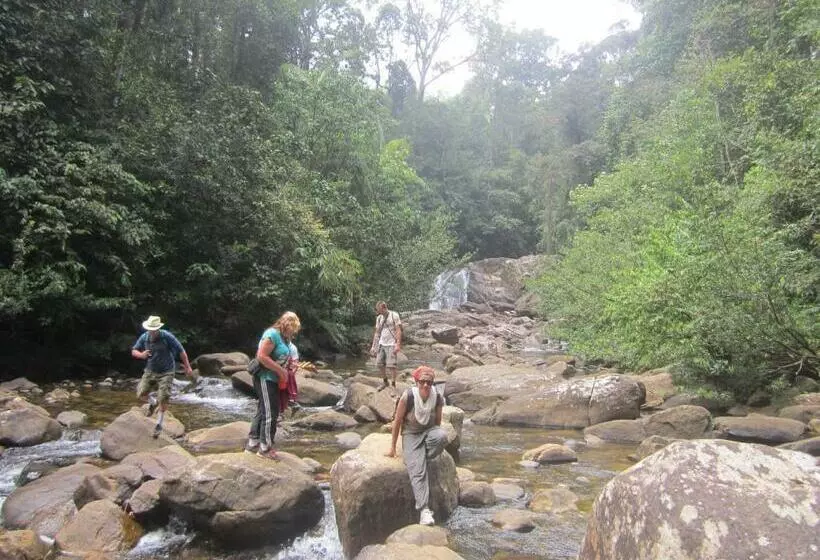 Majatalo Sinharaja Rest