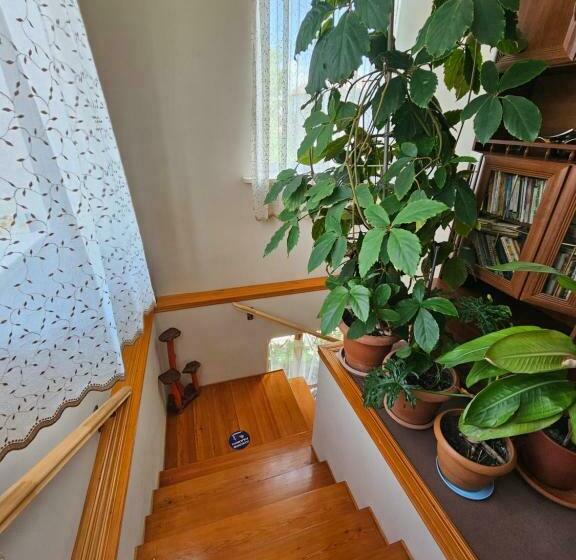 پانسیون Tamari Guest House