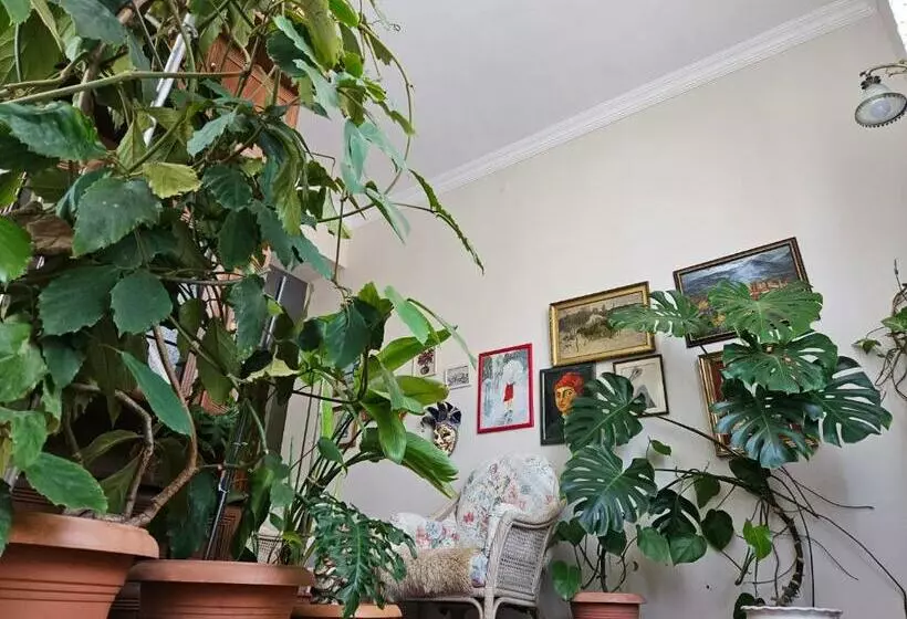 پانسیون Tamari Guest House