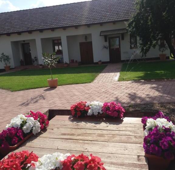 펜션 Tóth Vendégház és Apartmanház újfehértó