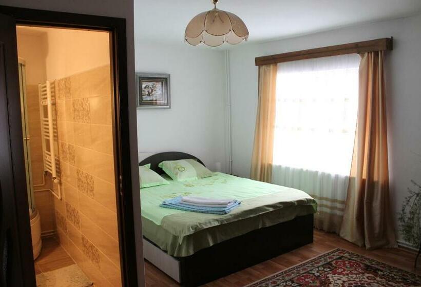 Pensiunea Alecsandra