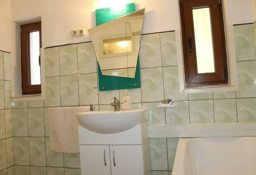 Pensiunea Alecsandra