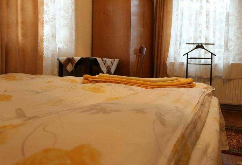 Pensiunea Alecsandra