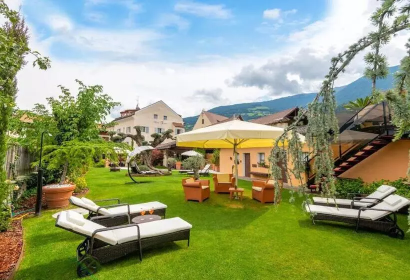 Residence Traube