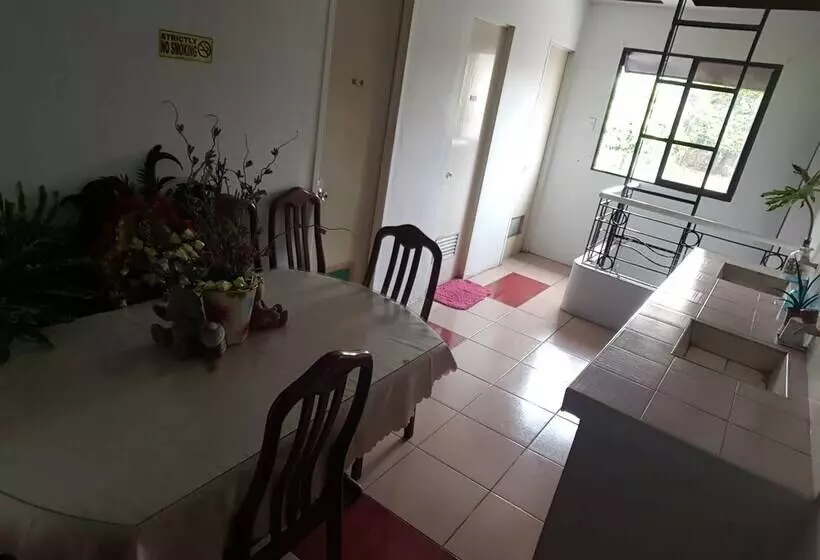 ユースホステル Center Parkway Pension House