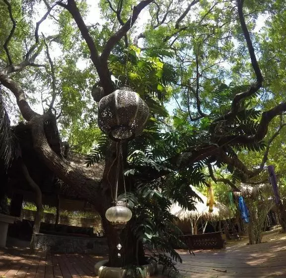 Hotelli Surf N Sun   Arugam Bay