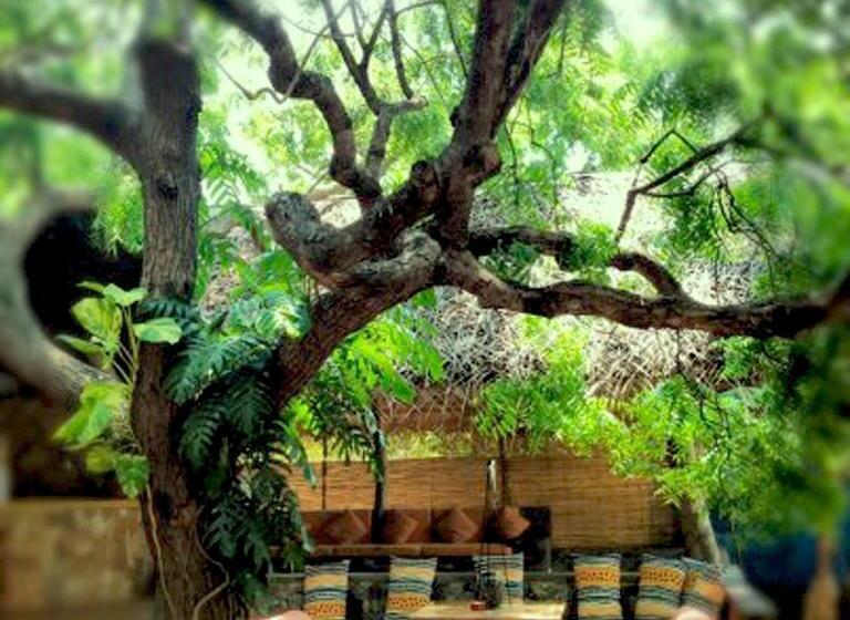 فندق Surf N Sun Arugam Bay