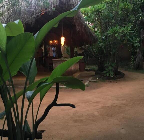 فندق Surf N Sun Arugam Bay