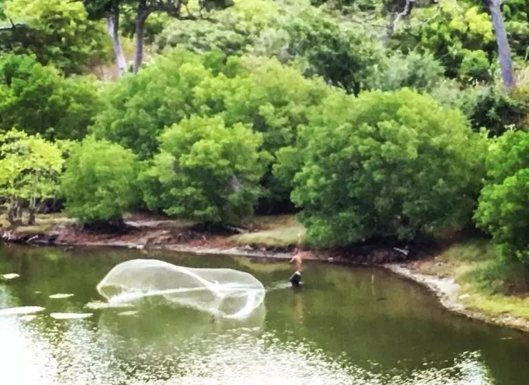 Hotelli Surf N Sun   Arugam Bay