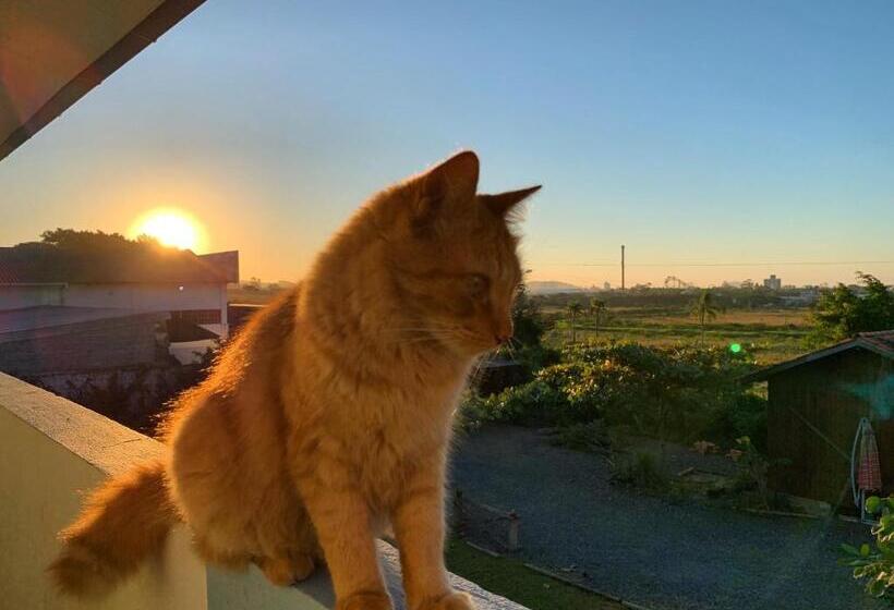 פנסיון Aymuray Hostel E Pousada