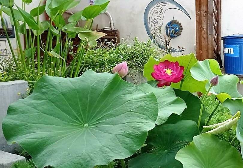 Пансион B&b Luna Blu