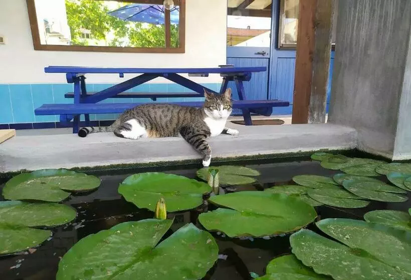 ペンション B&b Luna Blu