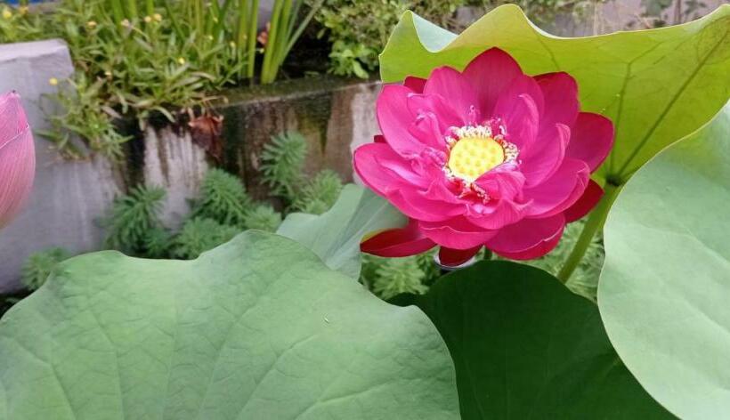 Пансион B&b Luna Blu