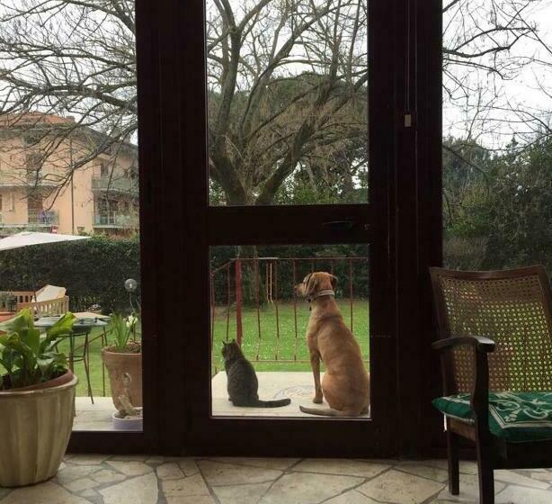 ペンション B&b Villa Acero